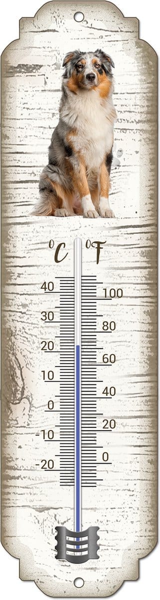 Thermometer: Australian Shepherd Dog | Hondenras | Temperatuur binnen en buiten | -25 tot +45C