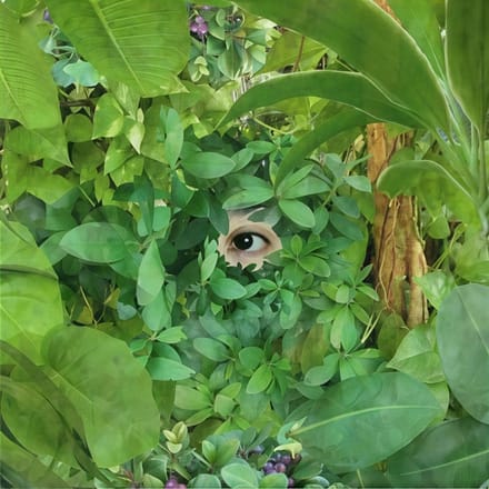Beginning/lena Willikens Remix