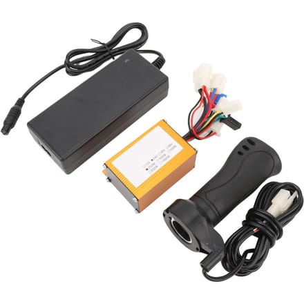 Elektrische Fiets Controller Kit Professioneel 24V 250W Kleur Goud Geborstelde Controller 10A Lader black