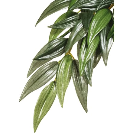 Ruscus plant decoratie kit Exo Terra