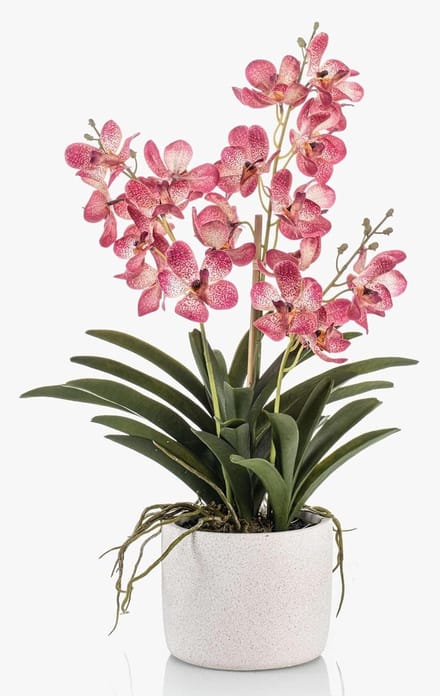 Decoratieve Orchidee - Kunstbloem Vanda - Woonkamer Decoratie - Met Wortels - 60 cm - Roze Wit