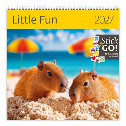 CA04-27 2027 Schrijvende kalender 30 x 30 Little Fun
