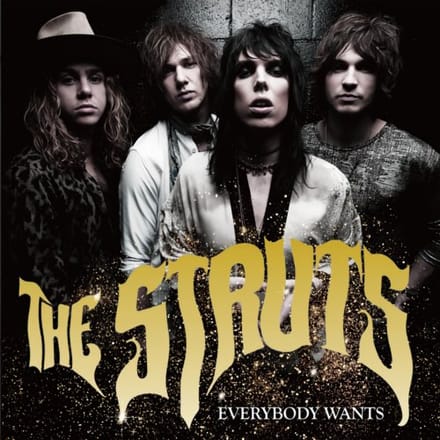 Everybody Wants - The Struts