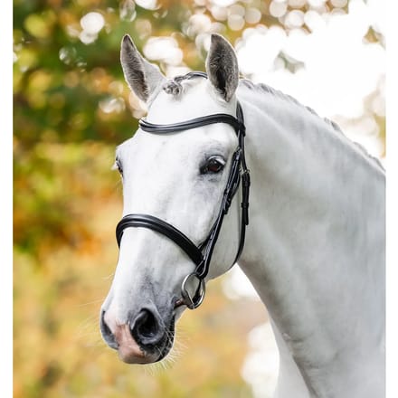 Hoofdstel Horseware