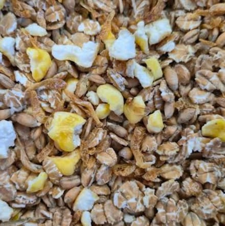 Oswalt - Vogelmuesli met garnalen - 1,5kg - Buitenvogelvoer