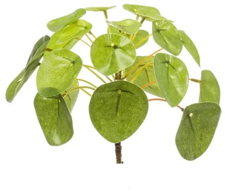 Pilea Mini Bush - Kunstplant - ↑ 15 cm