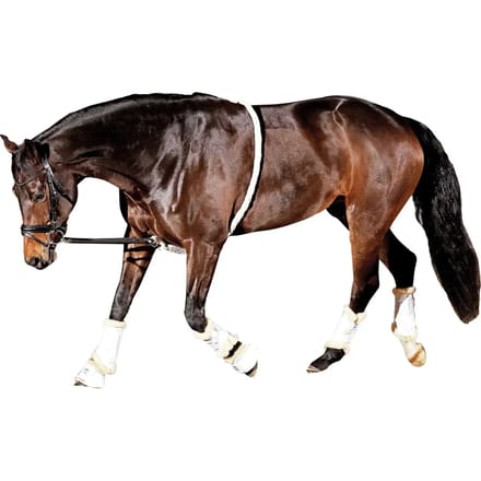 Koord voor paardrijden HorseGuard Soft Aid