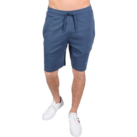 The North Face Heren Graphic Short Blauw