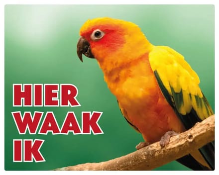 Zonparkiet Waakbord - Hier Waak Ik