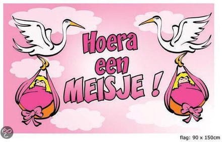 Geboortevlag Hoera een meisje