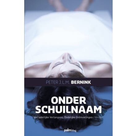 Onder Schuilnaam - Peter Bernink