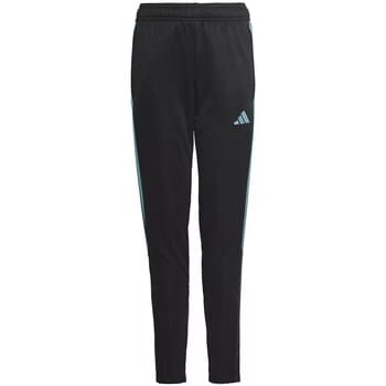 Broek adidas Tiro 23 Club Training