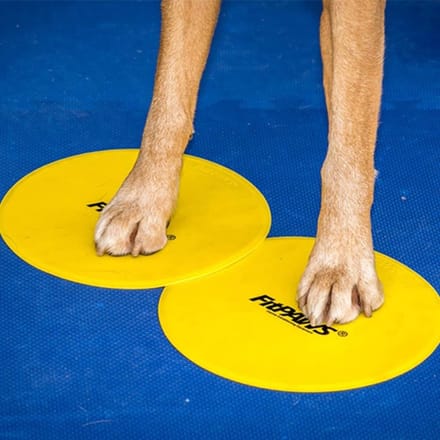 FitPAWS - Targets - 4 - st - geel - en - blauw