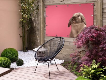 Schuttingposter Konijn - Dier - Roze - 200x100 cm - Tuindoek