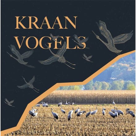Kraanvogels - Ingrid Visser