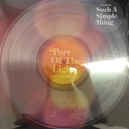 Part Of The Light - Ray And The Pariah Lamontagne