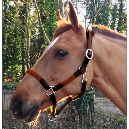 Lederen halster en touw voor paarden Cavaletti Tara