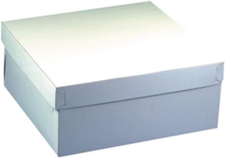 Taartdoos met deksel - 300 x 300 x 100 mm - 10 stuks