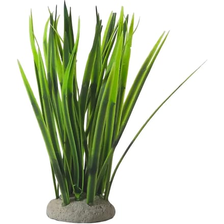 Aquariumdecoratie Nobby Pet Vallisneria