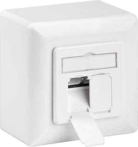 Goobay CAT 6a netwerkdoos signaalwit met twee RJ45-aansluitingen en opbouwframe
