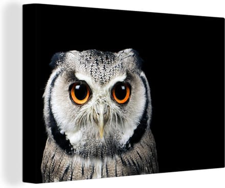 Canvas Schilderij Close-up uil - 30x20 cm - Wanddecoratie
