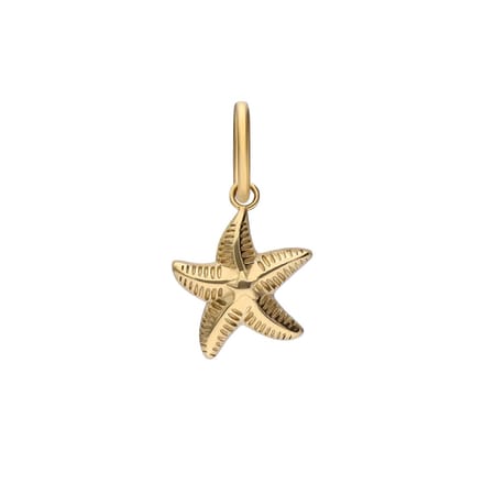 Lucardi - Dames Stalen goldplated bedel zeester - Hanger - Staal - Goudkleurig