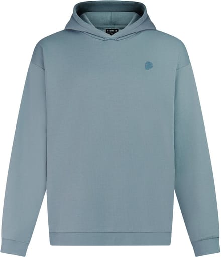 Protest PRTRoman - Hoodie Heren - Relaxed fit - Capuchon