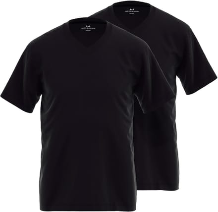 Gotzburg heren T-shirts regular fit V-hals (2-pack) - zwart