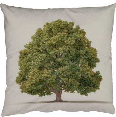 Sierkussens - Kussentjes Woonkamer - 60x60 cm - Eikenboom - Groen - Lichte achtergrond