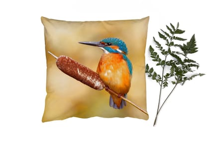 Sierkussens - Kussentjes Woonkamer - 45x45 cm - IJsvogel - Natuur - Vogel