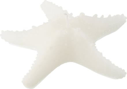 J-Line kaars Zeester - wit - large - 3U
