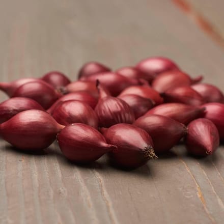 Plantui - Karmen - 500 gram - Rood - Uien voor Tuin - Bollen om te Planten - Voor de Moestuin