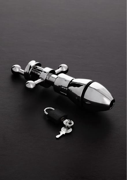 The Ultimate Asslock - Butt Plugs & Anal Dildos -