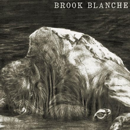 Brook Blanche - Brook Blanche (LP)
