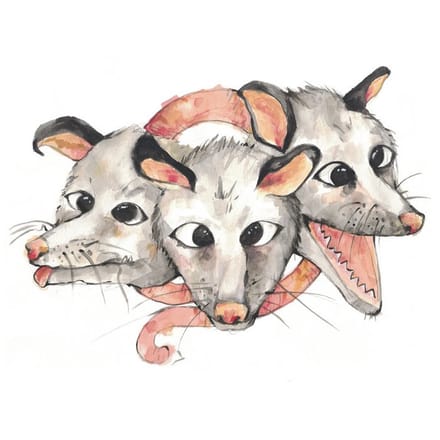 Opossums - Opossums (LP)