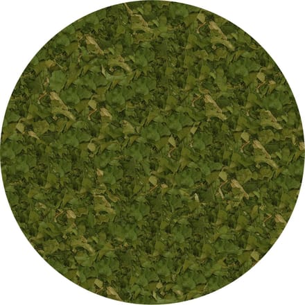 Spinazie Vlokken 4-6 mm - 100 gram - Holyflavours