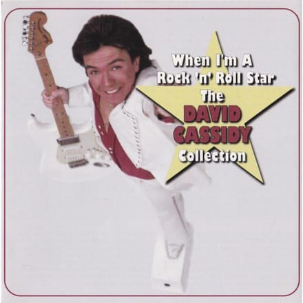 CD DAVID CASSIDY - When I'm A Rock 'N' Roll Star: De RE21172 Razor & Tie 1996 Japan Rock Gebruikt gray