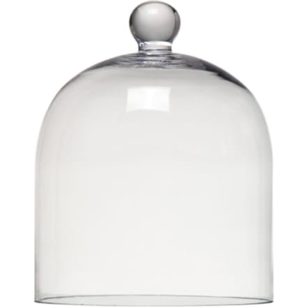 Ted Sparks Glass Dome Accessoires 270 gr
