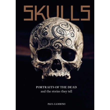 Skulls - Paul Gambino