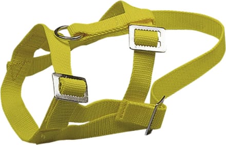 Schapen/geiten halster Nylon