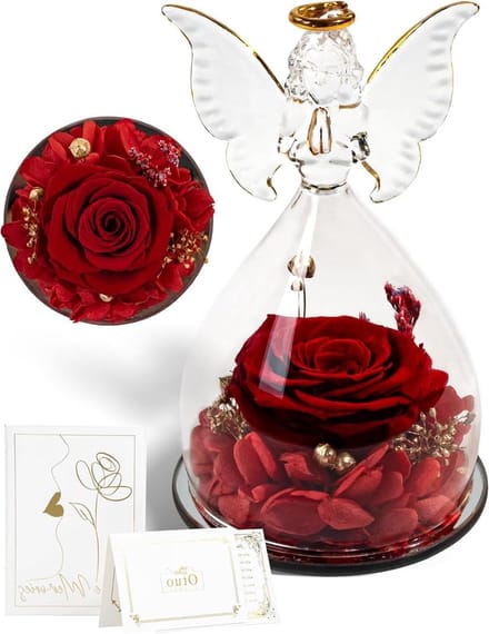 Geconserveerde Roos - Eeuwige Bloem - Cadeau Geven - Engel in Glas - Middelgroot - Rood