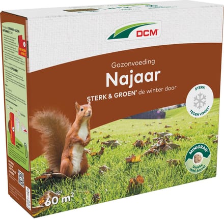 DCM GAZON NAJAAR 3KG