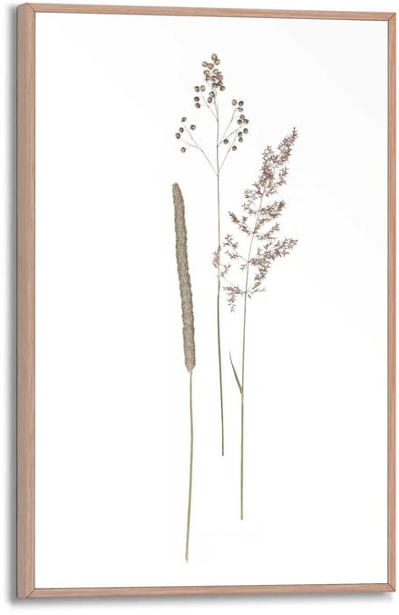 Schilderij Dried Flowers - 30 x 20 - Hout - REINDERS