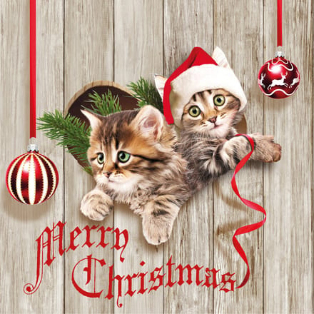 Ambiente kerst thema servetten - 60x st - 33 x 33 cm - poezen/katten print