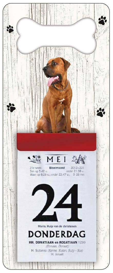 Scheurkalender 2027 Hond: Tosa