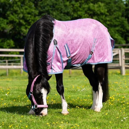 Paardenvliegdekje QHP Rosalynn