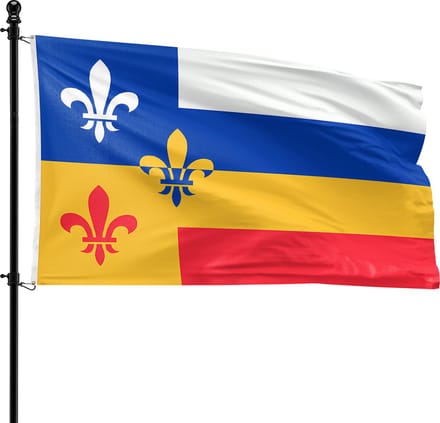 VlagDirect - Bergeijk vlag - Gemeente Bergeijk vlag - 90 x 150 cm.