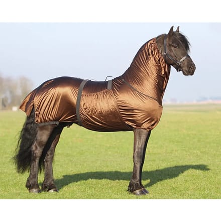 Anti-eczeemdeken voor paarden met een grote hals QHP
