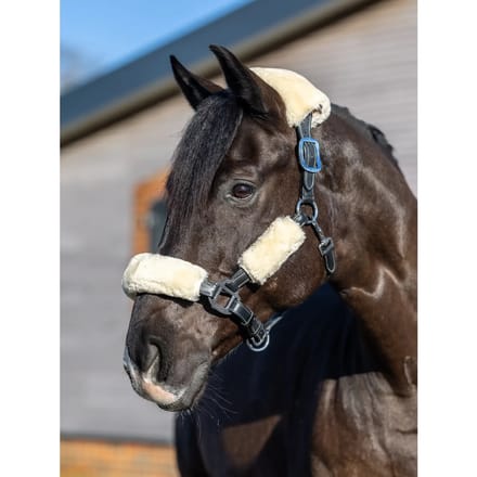 Neusriem schede voor paarden LeMieux