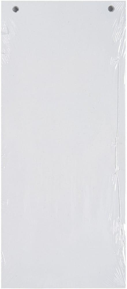 Exacompta 12x FOREVER® Pak van 100 horizontale tabstroken met perforatie 180g - 105x240mm - Wit - 13405B